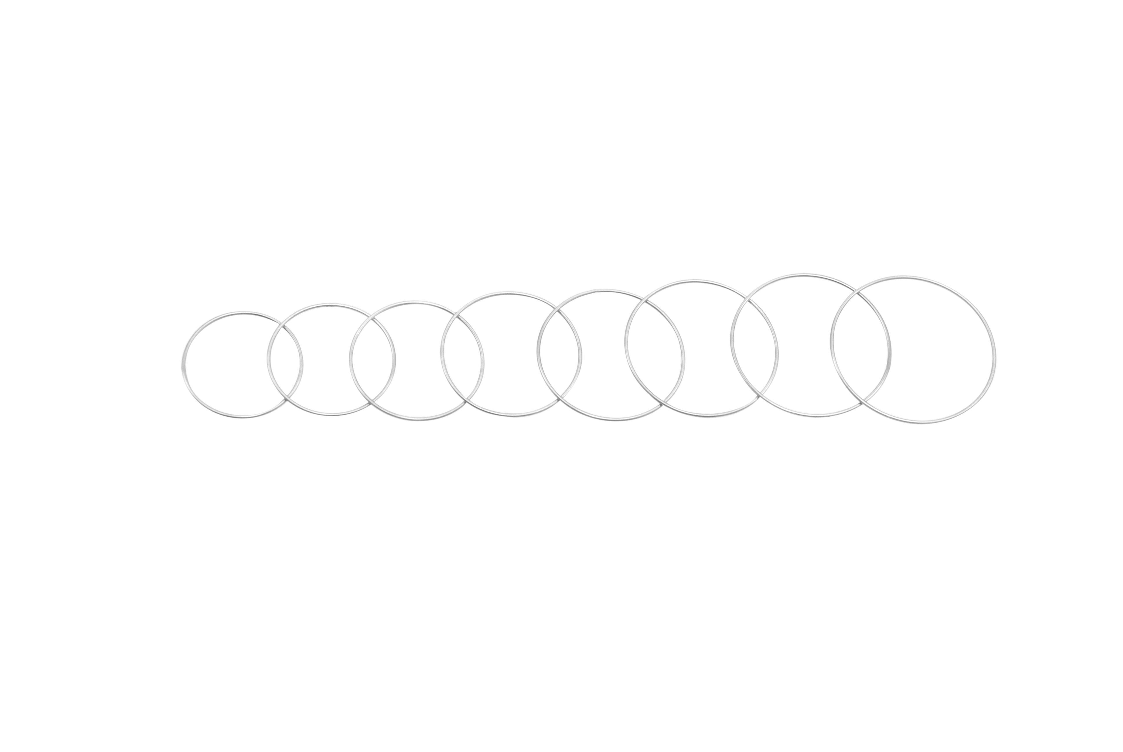 Flieringa Scleral Fixation Ring, set of