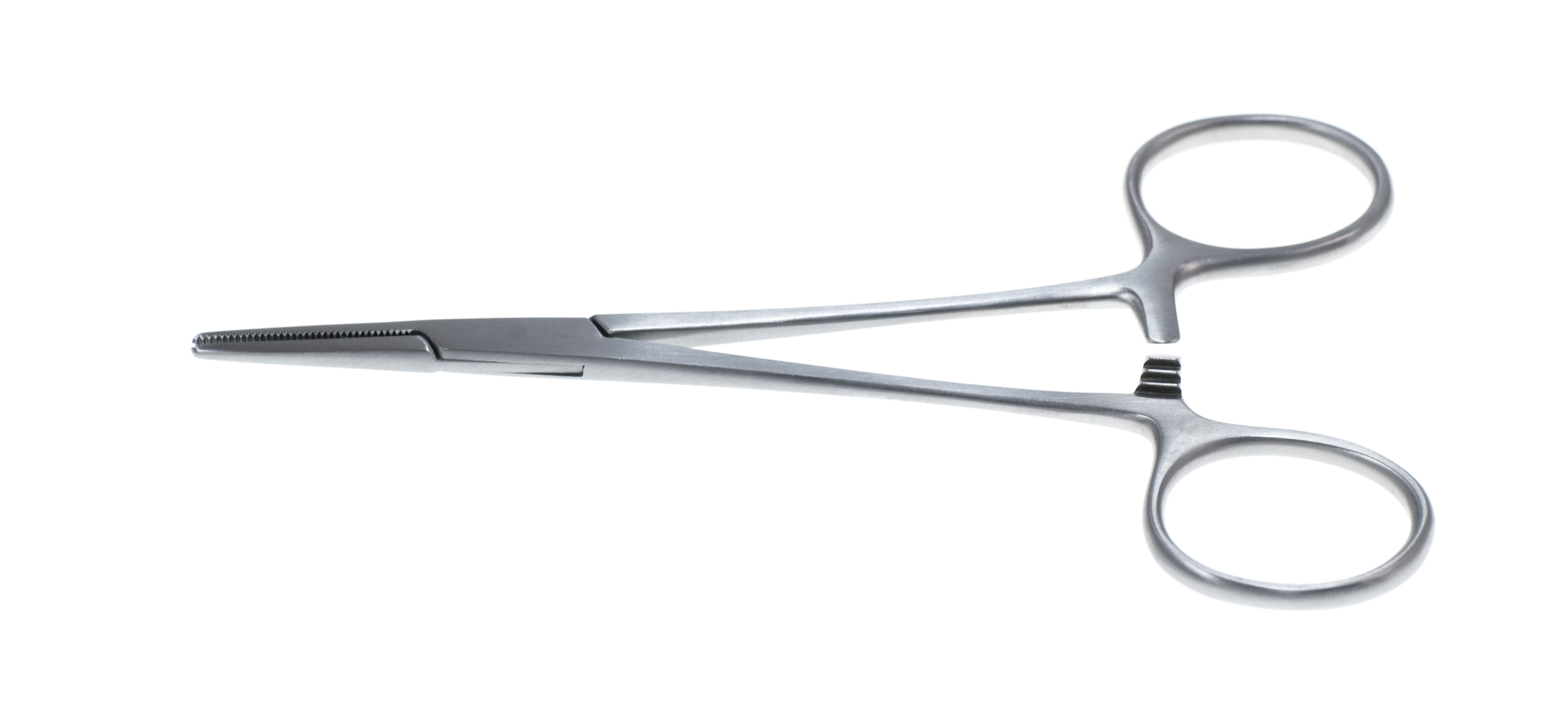 Halsted Mosquito Forceps, straight